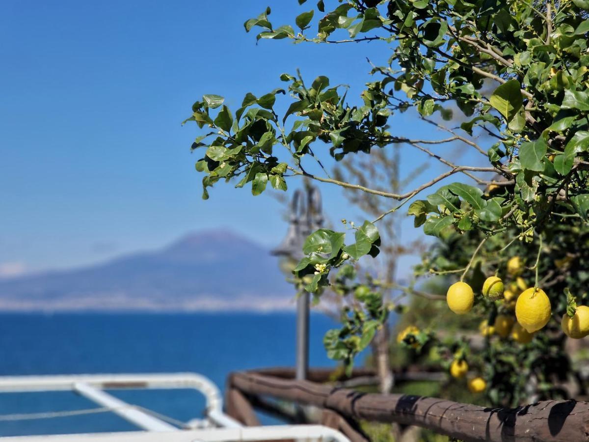 Vico Di Mare Daire Vico Equense Dış mekan fotoğraf