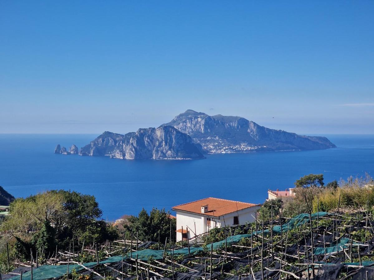 Vico Di Mare Daire Vico Equense Dış mekan fotoğraf